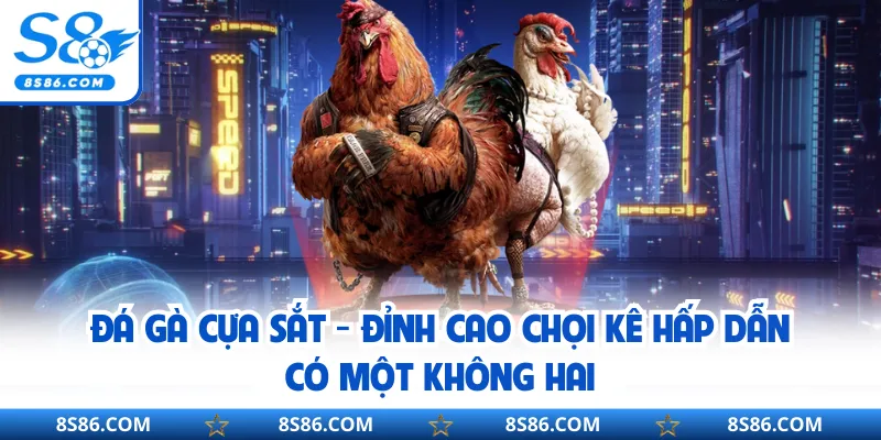 Đá Gà Cựa Sắt - Đỉnh Cao Chọi Kê Hấp Dẫn Có Một Không Hai