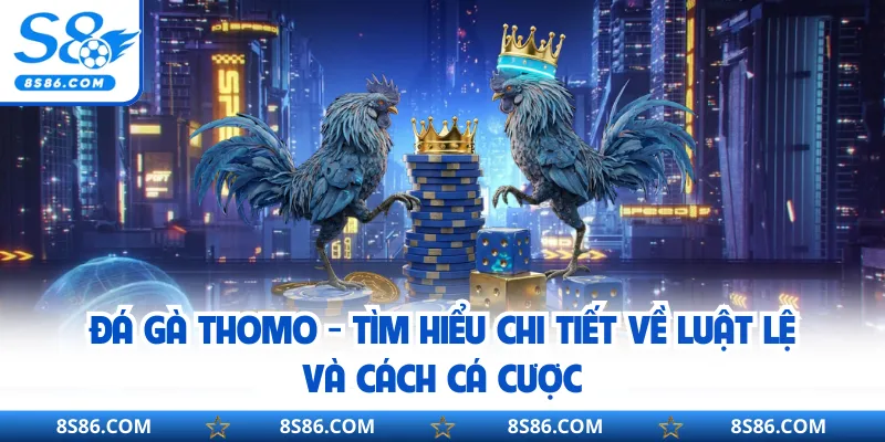 Đá Gà Thomo - Tìm Hiểu Chi Tiết Về Luật Lệ Và Cách Cá Cược