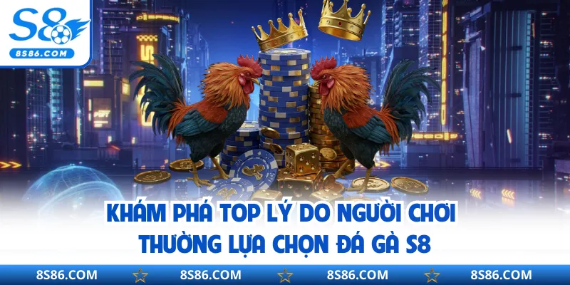 Khám phá top lý do người chơi thường lựa chọn đá gà S8