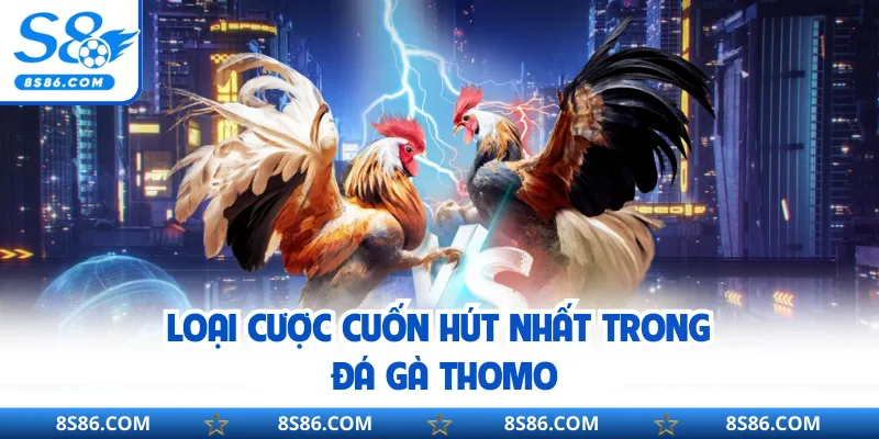 Loại cược cuốn hút nhất trong đá gà Thomo