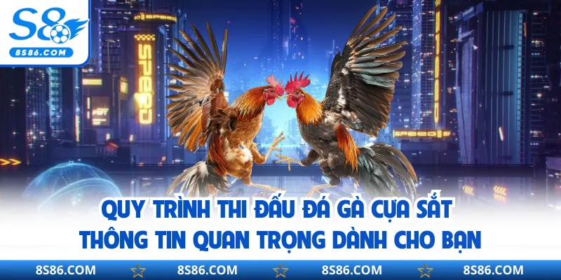 Quy trình thi đấu đá gà cựa sắt - Thông tin quan trọng dành cho bạn