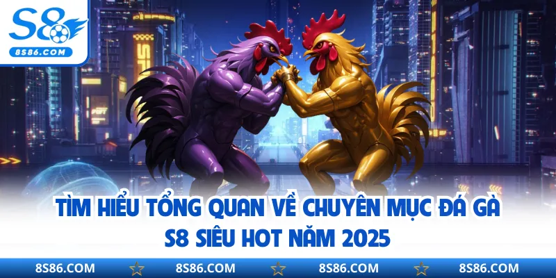 Tìm hiểu tổng quan về chuyên mục đá gà S8 siêu hot năm 2025