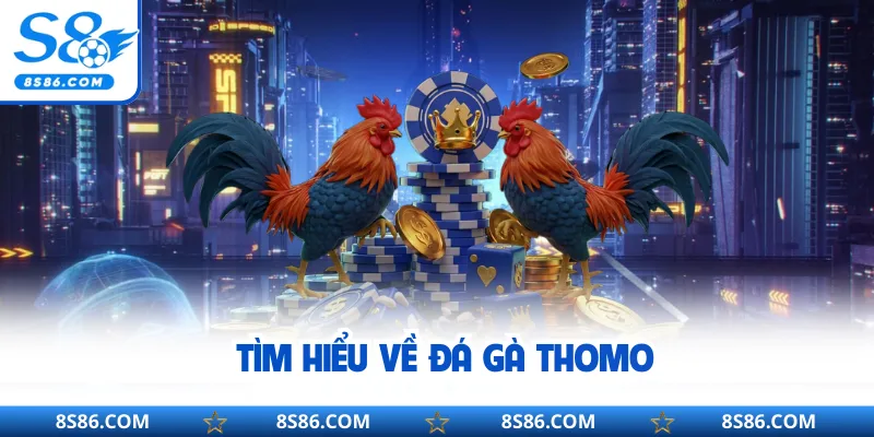 ​​Tìm hiểu về đá gà Thomo